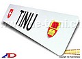 TINU.jpg